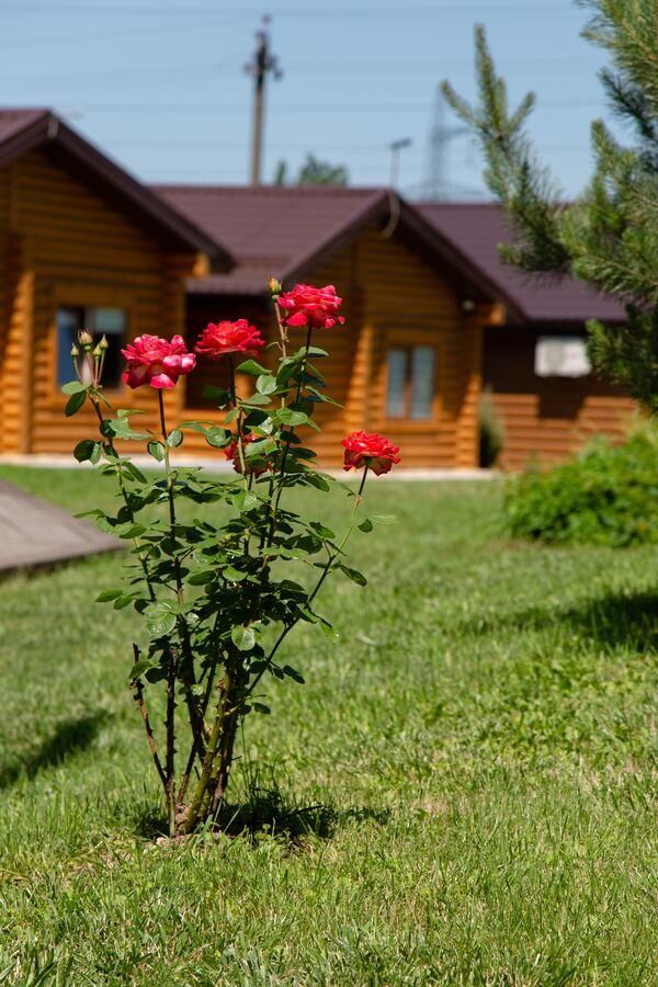 Мини-отель Бабай Комора Ирпень-14